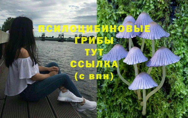 гидропоника Бородино