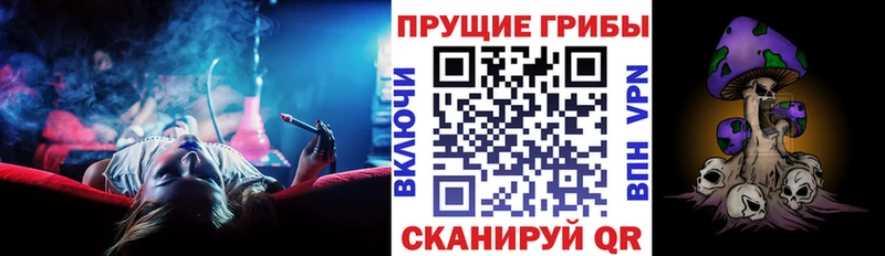 Галлюциногенные грибы прущие грибы  купить наркотики сайты  Будённовск 