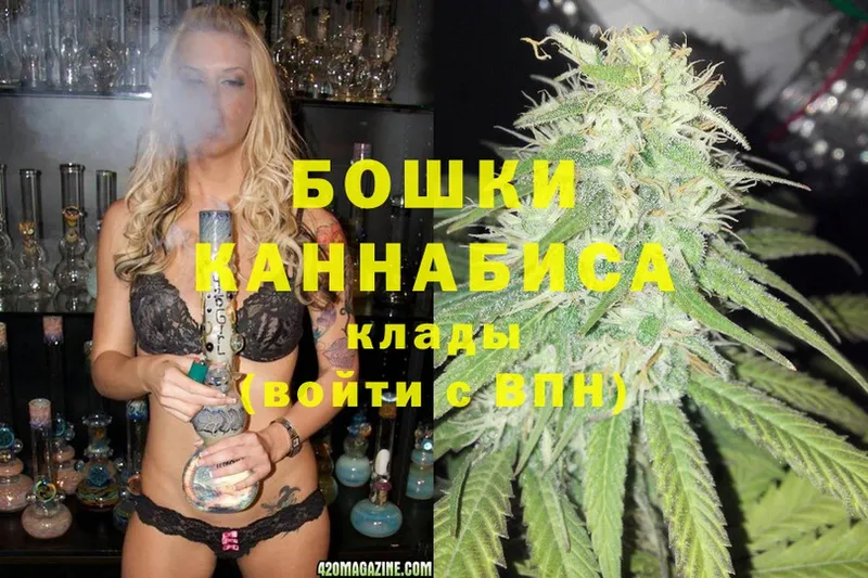 Бошки марихуана THC 21%  Будённовск 